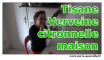 Indispensable au potager : la verveine citron tisane maison verveine citronnelle