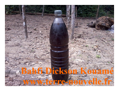 Fabrication de charbon de bambou par Bahfi Dickson Kouamé, en Cote dIvoire Comment fabriquer du charbon de bambou vinaigre de bambou ou de bois